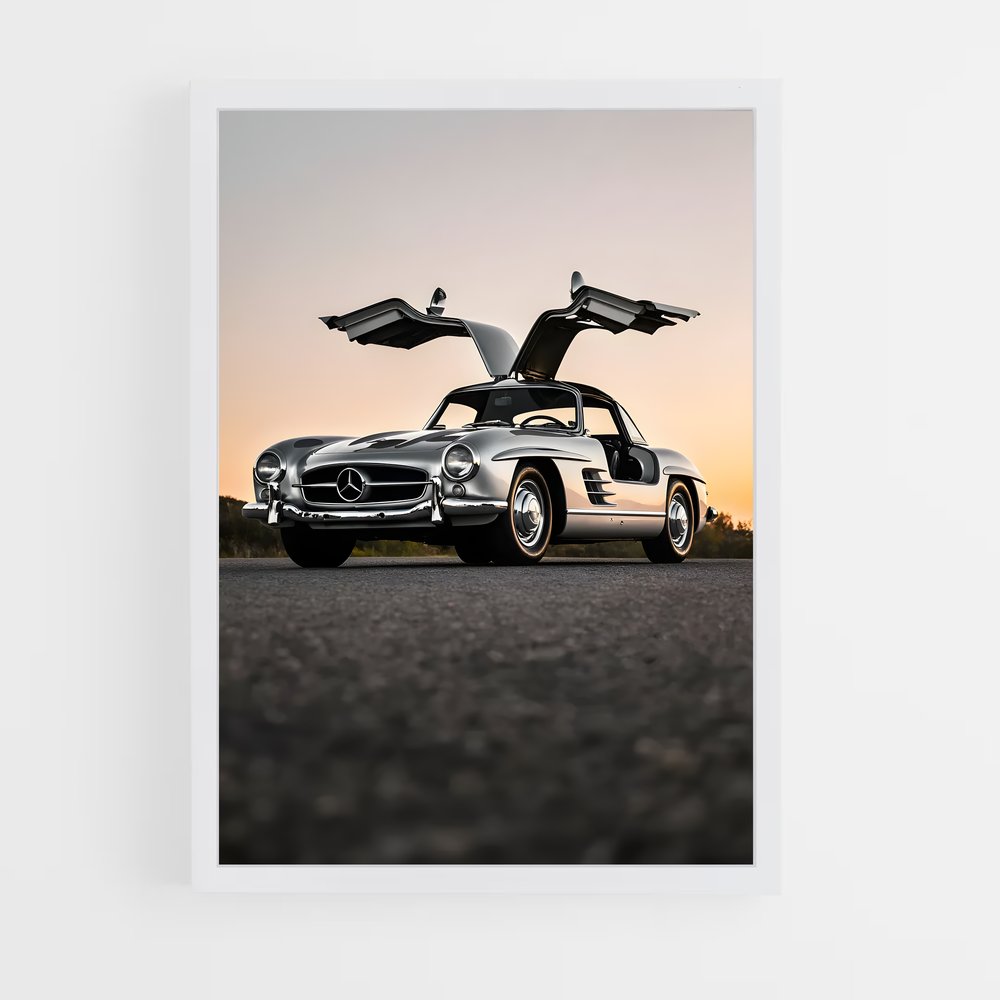 Poster L'Aile de la Mercedes (vue 3)